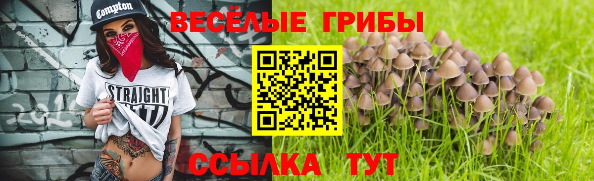 хочу   Галлюциногенные грибы Psilocybe  Галлюциногенные грибы Psilocybine cubensis  Вход с VPN  Печора 