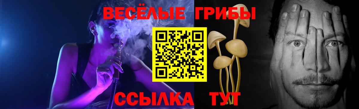 Псилоцибиновые грибы прущие грибы Печора